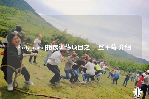 南充拓展训练项目之 一丝不苟 介绍